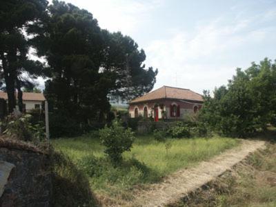B&B Sotto I Pini 제프라나에트니아 외부 사진